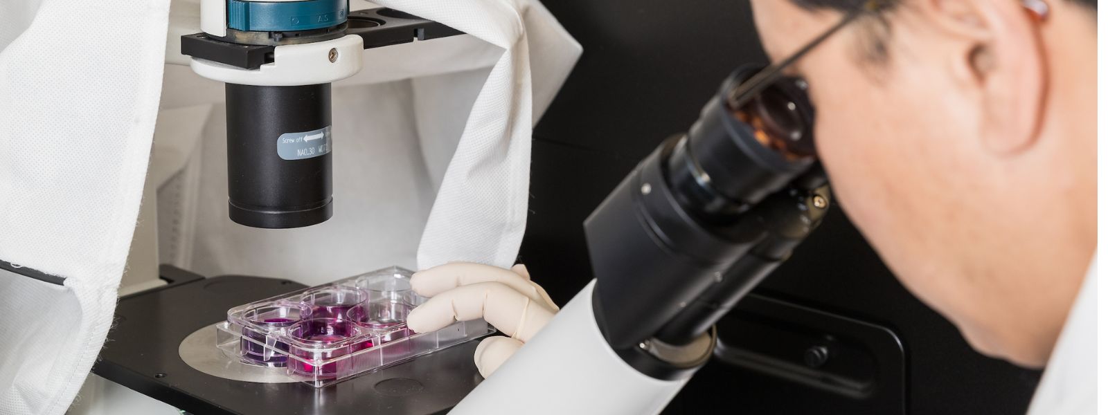 Student looking at microscope.